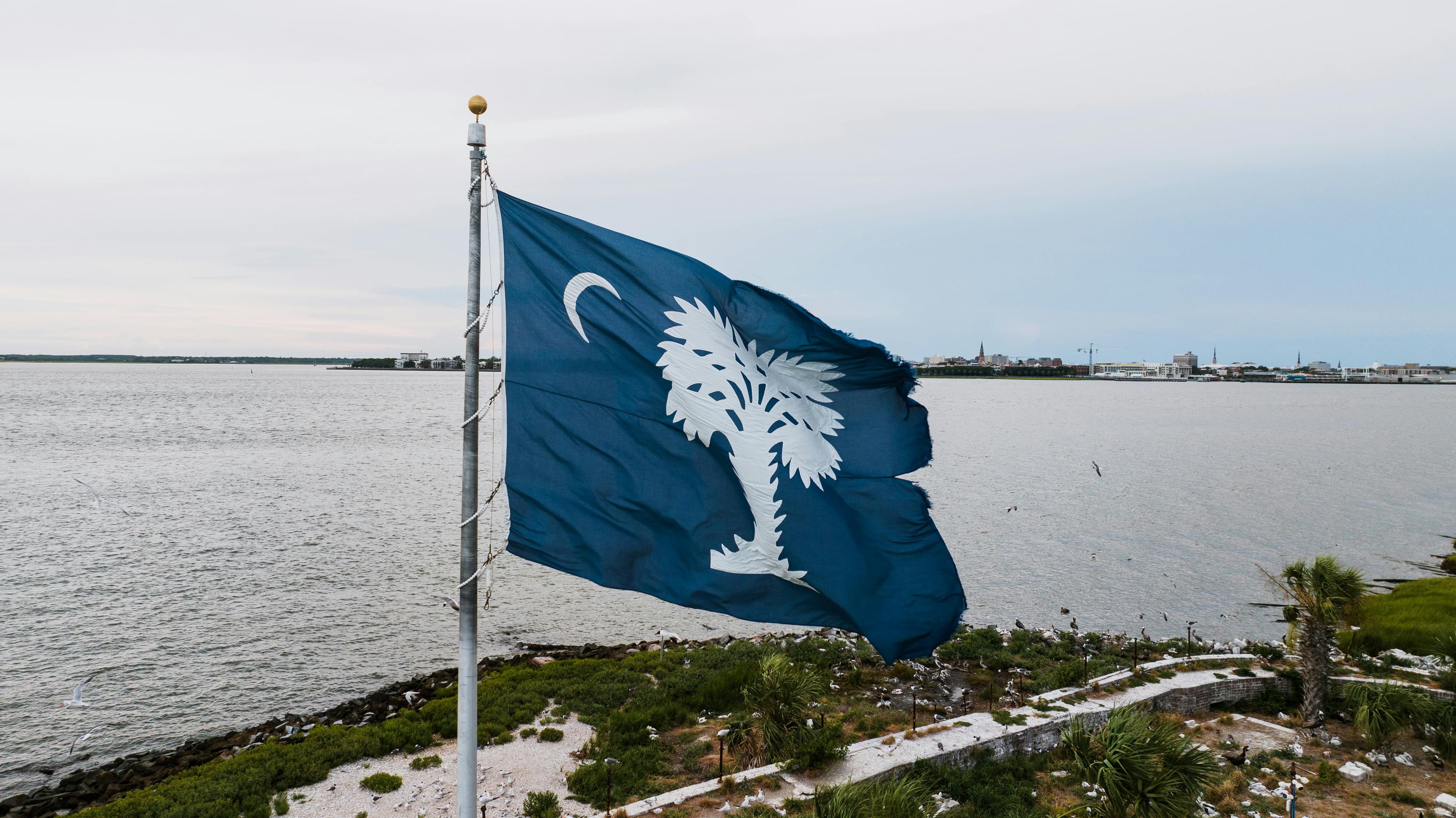 South Carolina state flag near the coast.